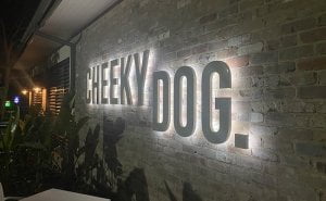 cheeky dog 300x185 - cheeky-dog